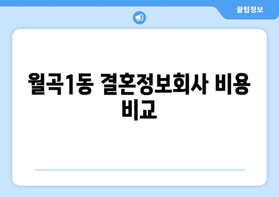 월곡1동 결혼정보회사 비용 비교