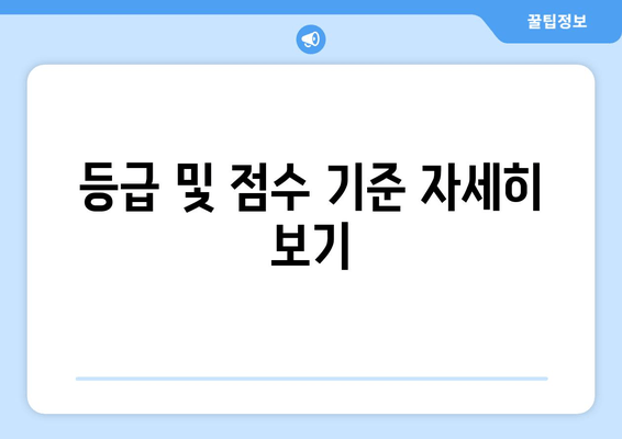 등급 및 점수 기준 자세히 보기