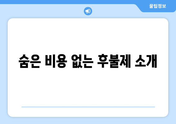 숨은 비용 없는 후불제 소개