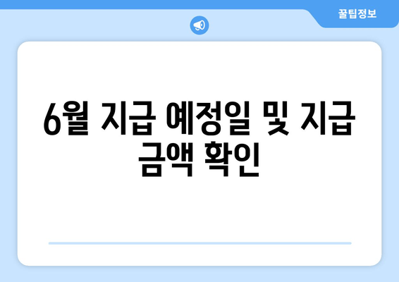 6월 지급 예정일 및 지급 금액 확인