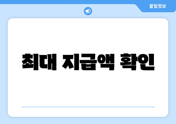 최대 지급액 확인