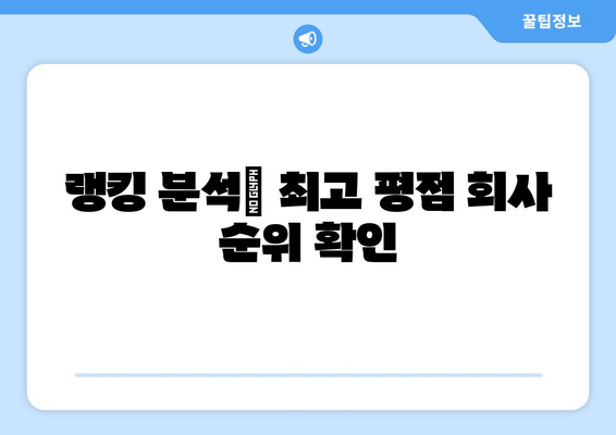 랭킹 분석| 최고 평점 회사 순위 확인