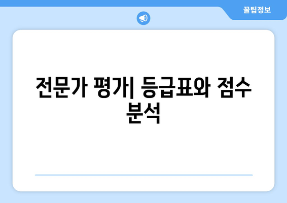 전문가 평가| 등급표와 점수 분석