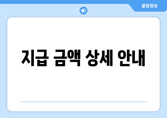 지급 금액 상세 안내