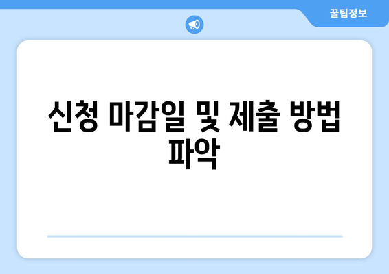 신청 마감일 및 제출 방법 파악