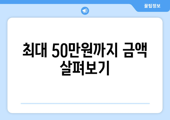 최대 50만원까지 금액 살펴보기