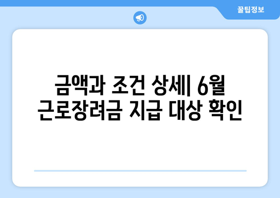 금액과 조건 상세| 6월 근로장려금 지급 대상 확인