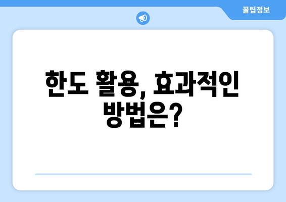 한도 활용, 효과적인 방법은?