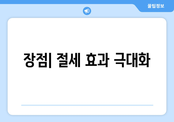 장점| 절세 효과 극대화