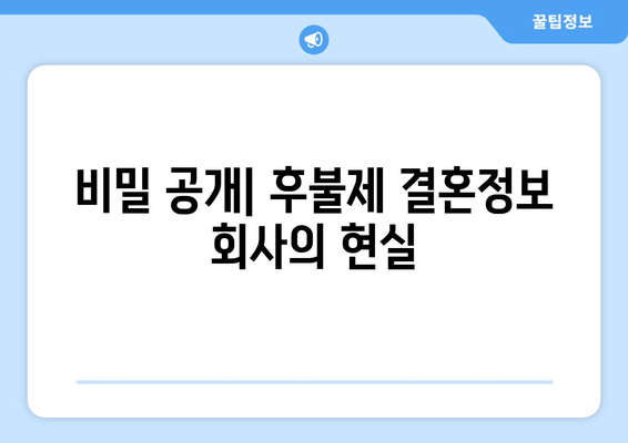 비밀 공개| 후불제 결혼정보 회사의 현실