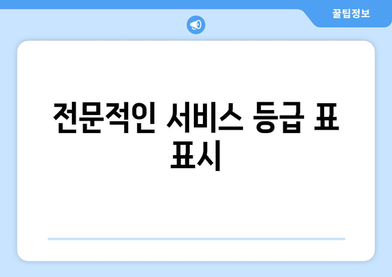 전문적인 서비스 등급 표 표시