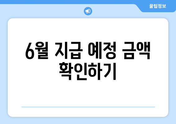 6월 지급 예정 금액 확인하기