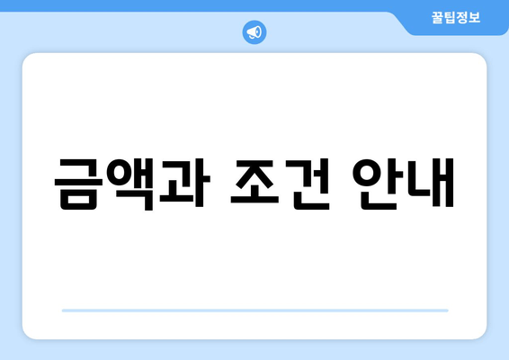 금액과 조건 안내