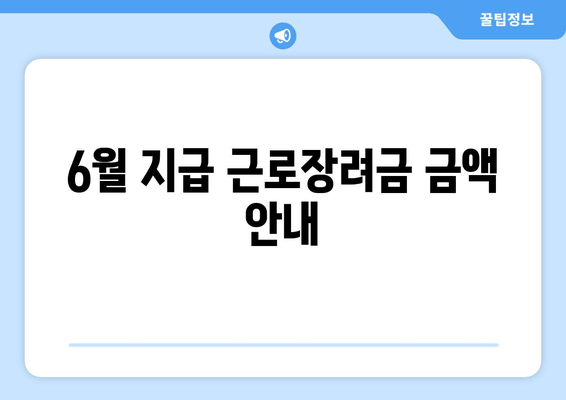 6월 지급 근로장려금 금액 안내