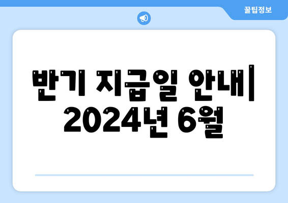 반기 지급일 안내| 2024년 6월