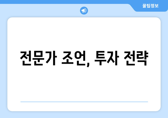 전문가 조언, 투자 전략