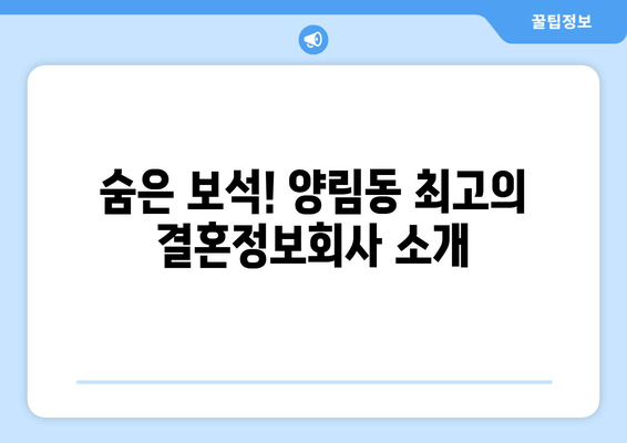 숨은 보석! 양림동 최고의 결혼정보회사 소개