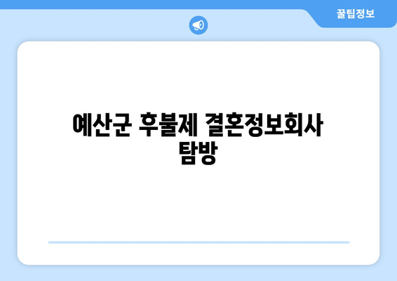 예산군 후불제 결혼정보회사 탐방