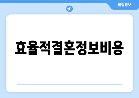 효율적결혼정보비용