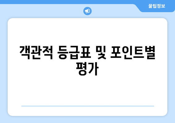 객관적 등급표 및 포인트별 평가