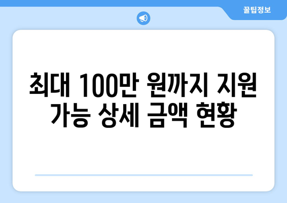 최대 100만 원까지 지원 가능 상세 금액 현황