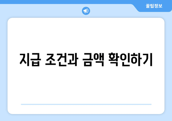 지급 조건과 금액 확인하기