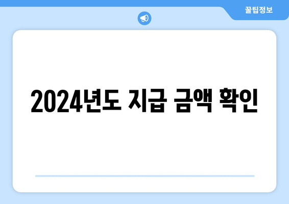 2024년도 지급 금액 확인