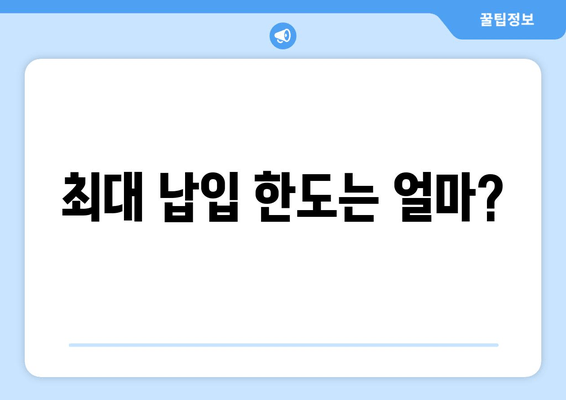 최대 납입 한도는 얼마?