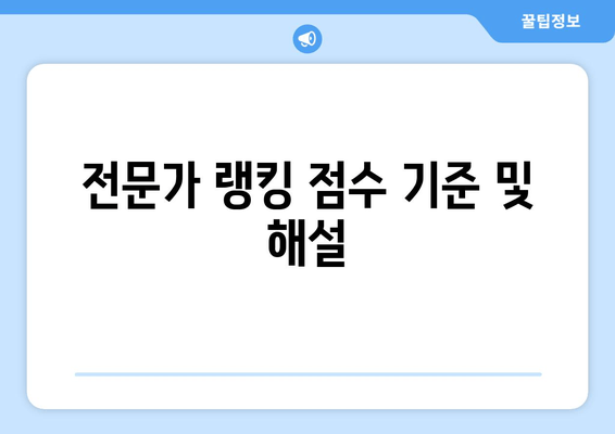 전문가 랭킹 점수 기준 및 해설