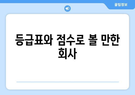 등급표와 점수로 볼 만한 회사