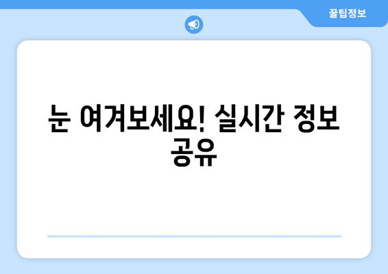 눈 여겨보세요! 실시간 정보 공유