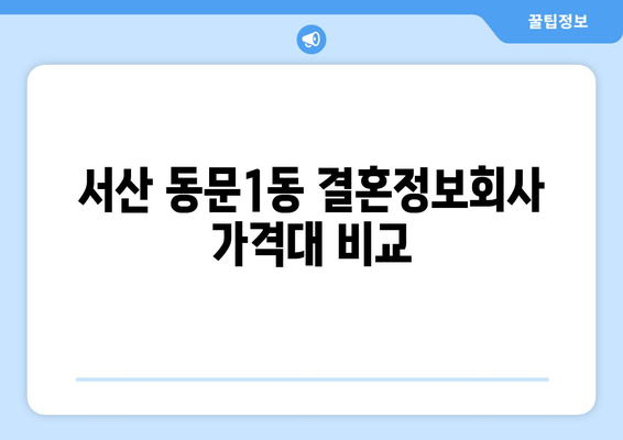 서산 동문1동 결혼정보회사 가격대 비교