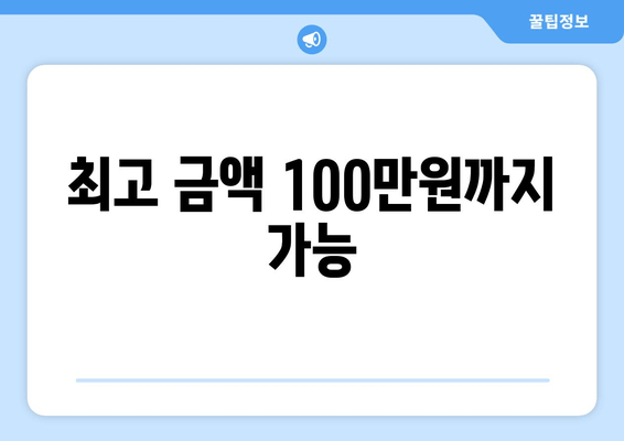 최고 금액 100만원까지 가능