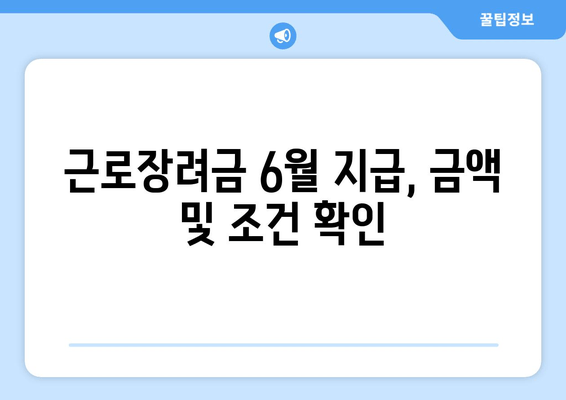 근로장려금 6월 지급, 금액 및 조건 확인