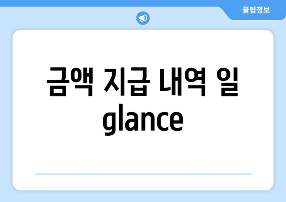 금액 지급 내역 일 glance