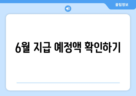 6월 지급 예정액 확인하기