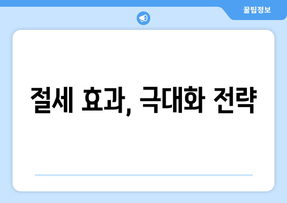 절세 효과, 극대화 전략