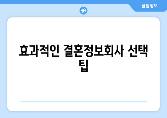 효과적인 결혼정보회사 선택 팁