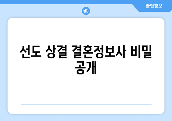 선도 상결 결혼정보사 비밀 공개