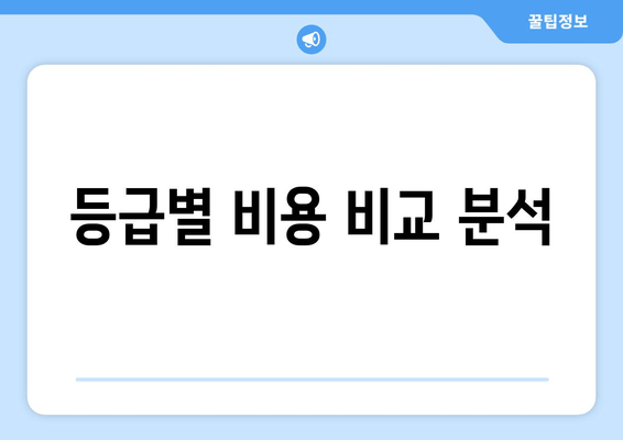 등급별 비용 비교 분석