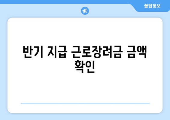 반기 지급 근로장려금 금액 확인