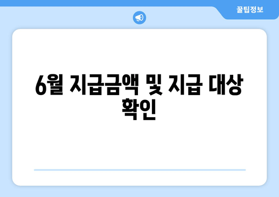 6월 지급금액 및 지급 대상 확인