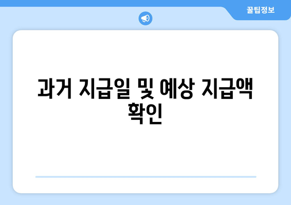 과거 지급일 및 예상 지급액 확인