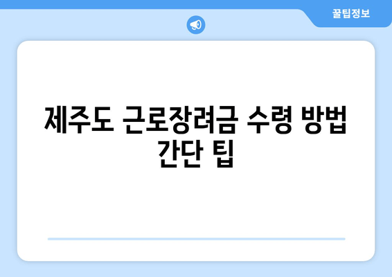 제주도 근로장려금 수령 방법 간단 팁