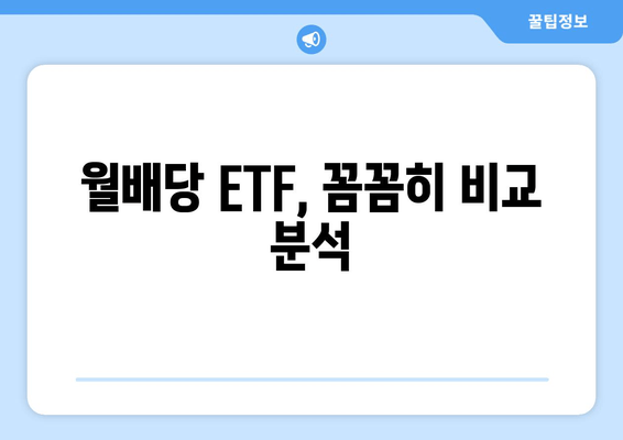 월배당 ETF, 꼼꼼히 비교 분석