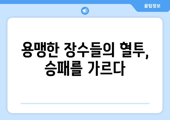 손권의 동진, 조비의 저항| 동구, 남군 전투에서 펼쳐진 격돌 | 삼국지, 위촉오, 역사, 전투, 손권, 조비