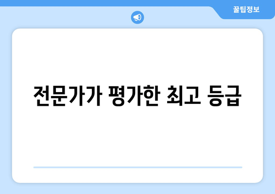 전문가가 평가한 최고 등급