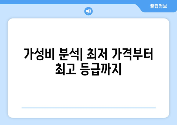 가성비 분석| 최저 가격부터 최고 등급까지