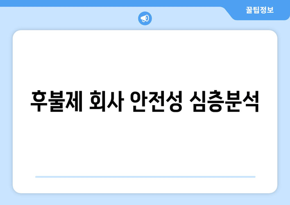 후불제 회사 안전성 심층분석