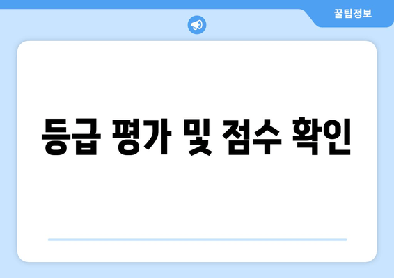 등급 평가 및 점수 확인